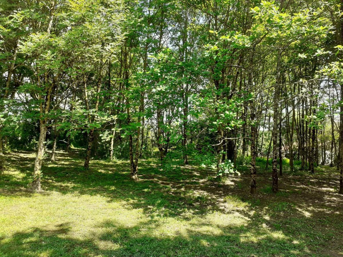 La Villa Le Petit Bois, Pres Rocamadour, Padirac Lavergne  Exteriér fotografie